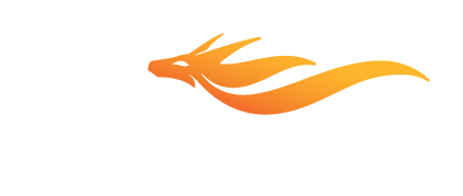 Agility Government Services